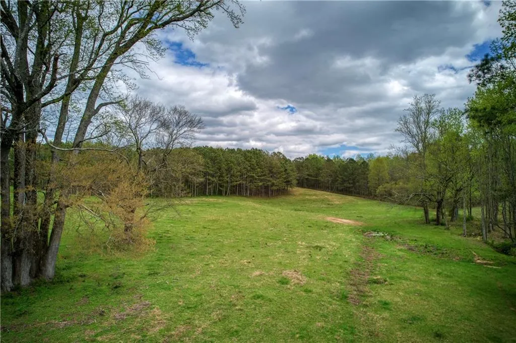 Jasper, Georgia 30143, United States, ,Land,Active,11561