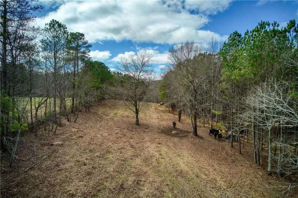 Jasper, Georgia 30143, United States, ,Land,Active,11561