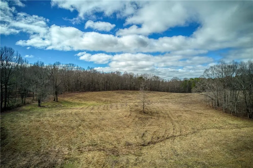 Jasper, Georgia 30143, United States, ,Land,Active,11561