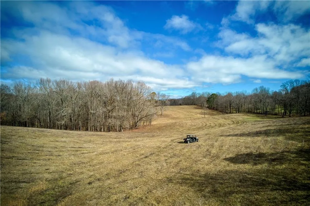 Jasper, Georgia 30143, United States, ,Land,Active,11561