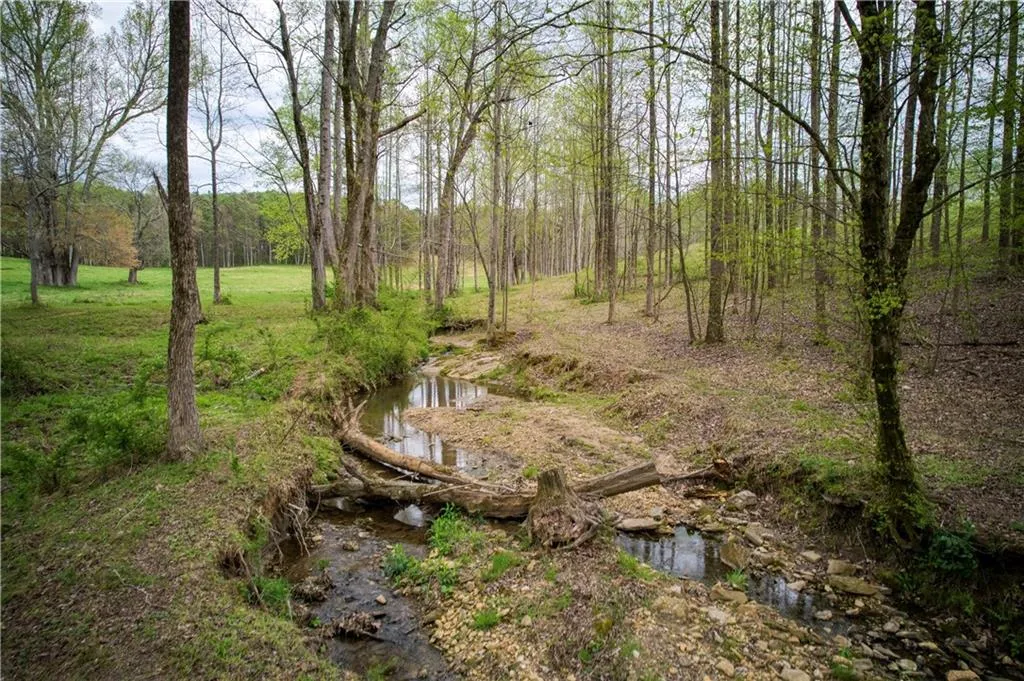 Jasper, Georgia 30143, United States, ,Land,Active,11561