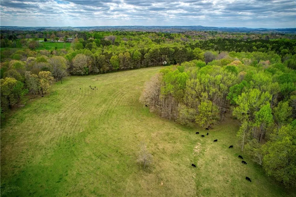 Jasper, Georgia 30143, United States, ,Land,Active,11561