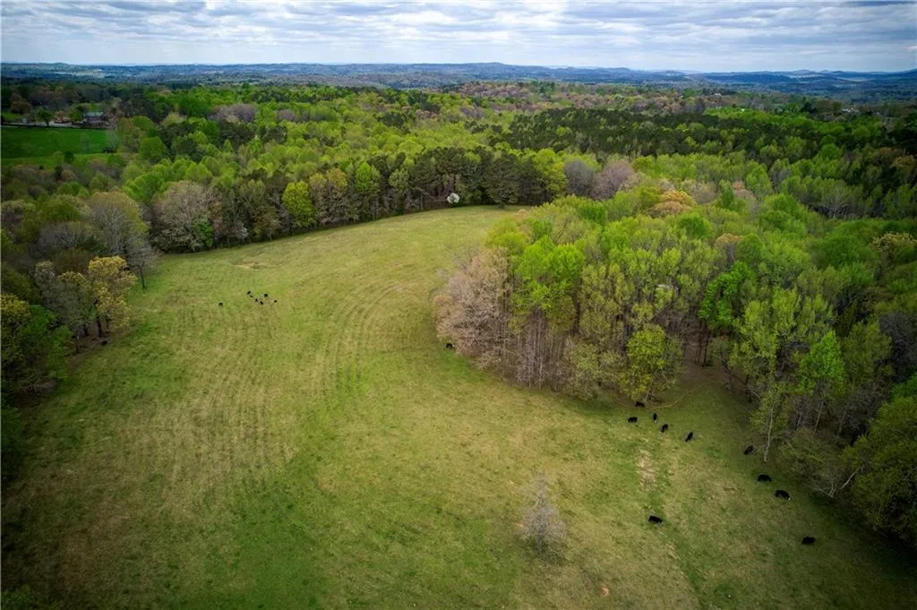 Jasper, Georgia 30143, United States, ,Land,Active,11561