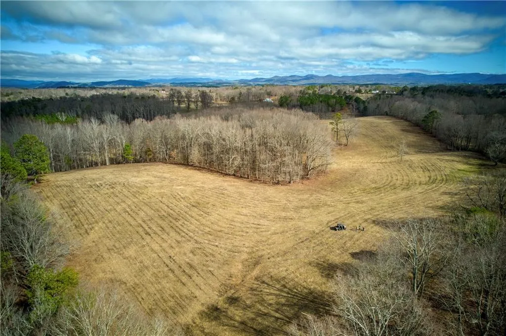 Jasper, Georgia 30143, United States, ,Land,Active,11561