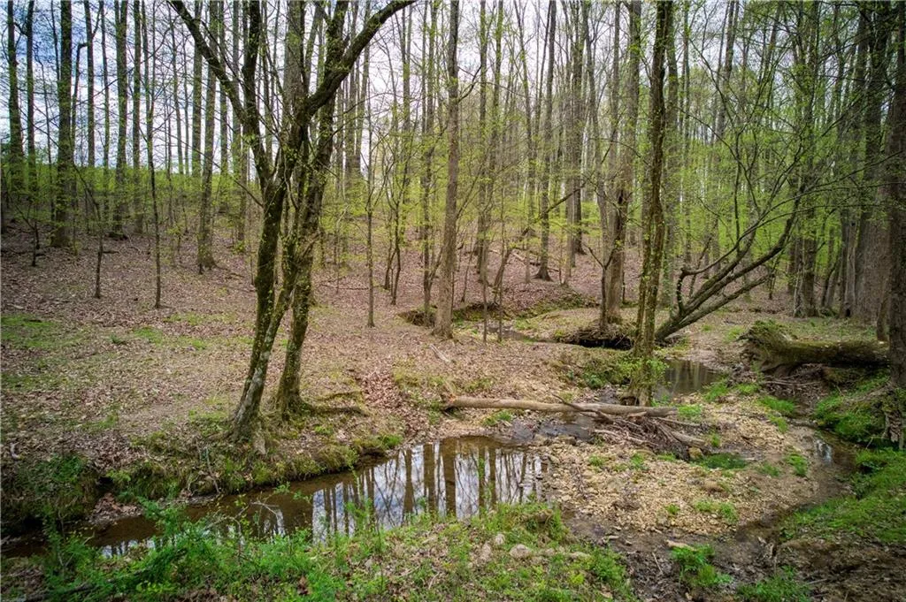 Jasper, Georgia 30143, United States, ,Land,Active,11561