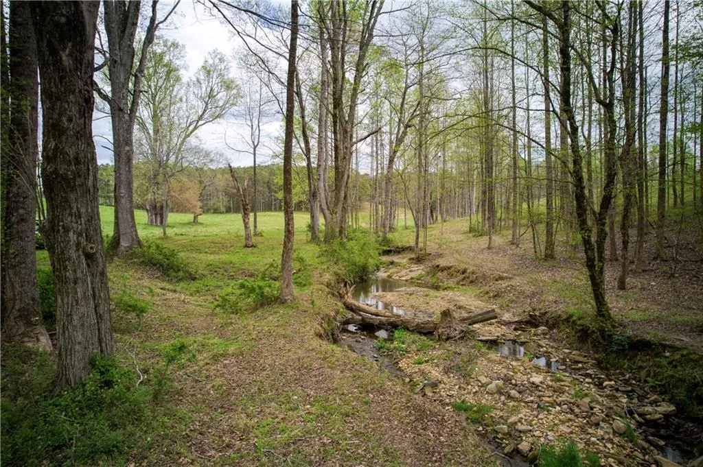 Jasper, Georgia 30143, United States, ,Land,Active,11561