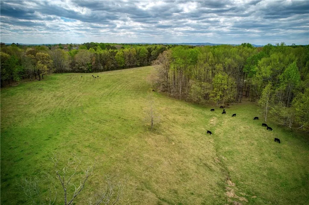 Jasper, Georgia 30143, United States, ,Land,Active,11561