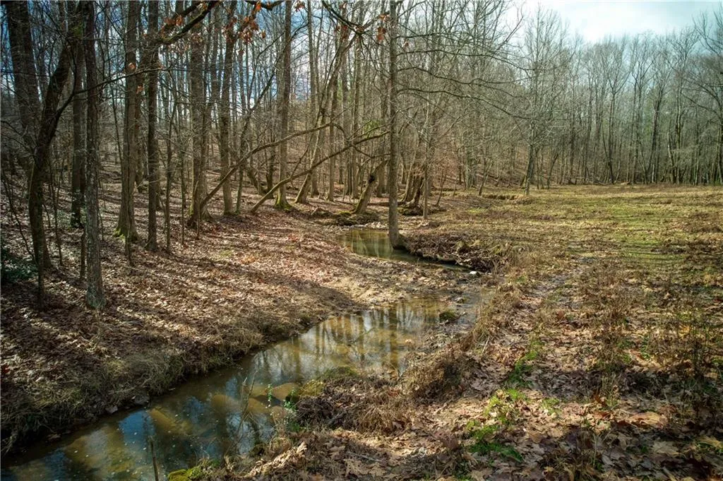 Jasper, Georgia 30143, United States, ,Land,Active,11561