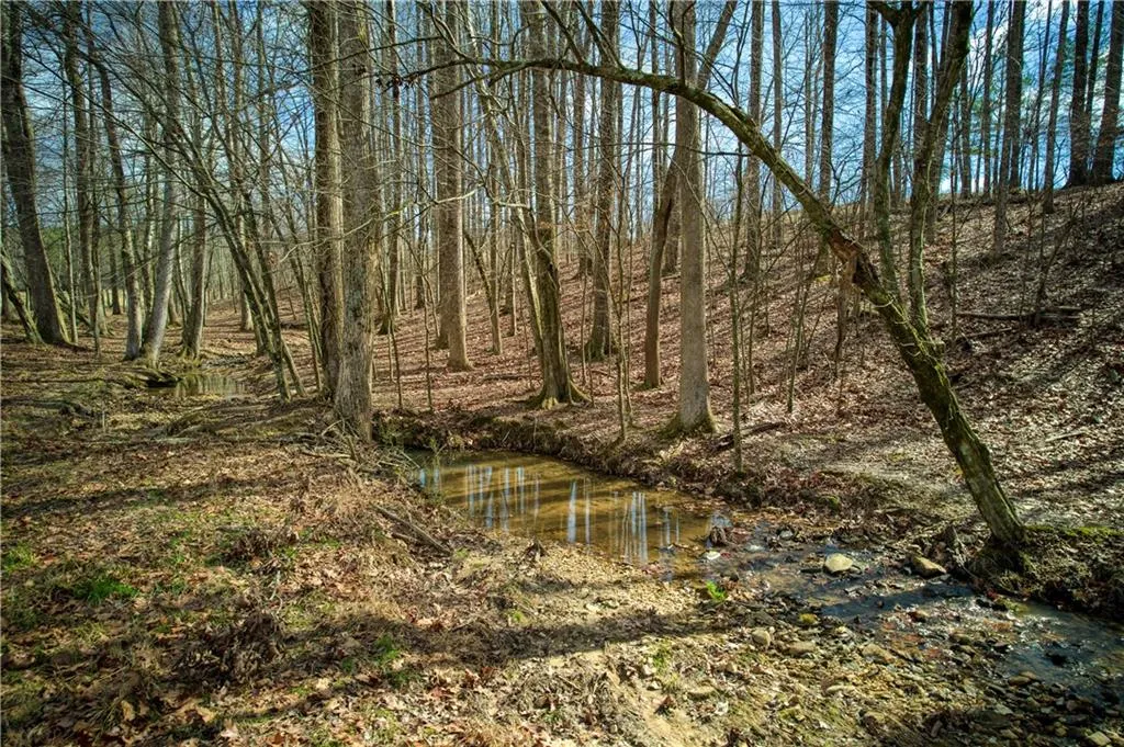 Jasper, Georgia 30143, United States, ,Land,Active,11561