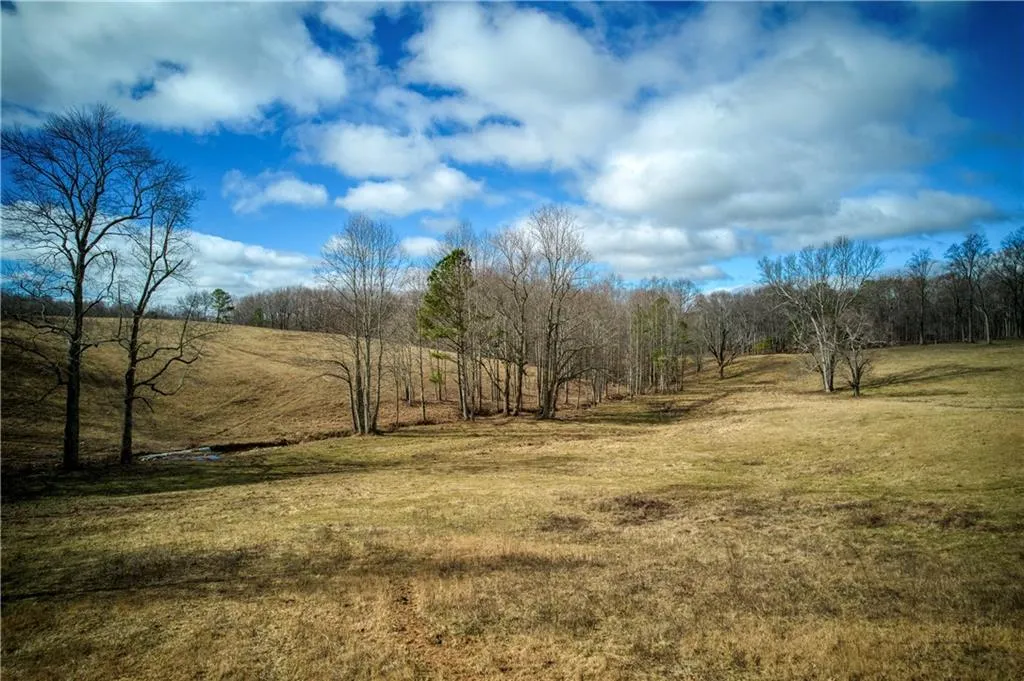 Jasper, Georgia 30143, United States, ,Land,Active,11561