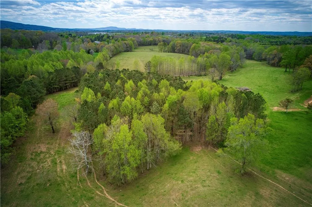 Jasper, Georgia 30143, United States, ,Land,Active,11561