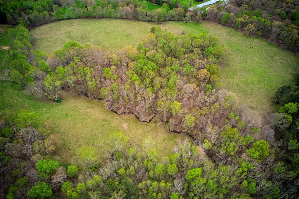 Jasper, Georgia 30143, United States, ,Land,Active,11561