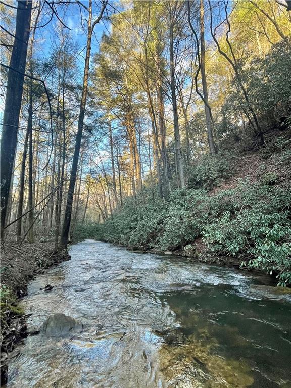 1776 Nimblewill Gap Road