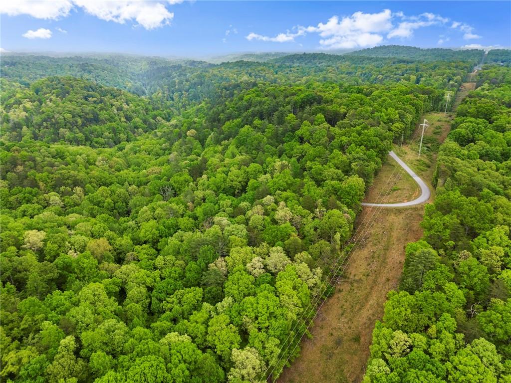 387 River View Trail, Dahlonega, Georgia image 46