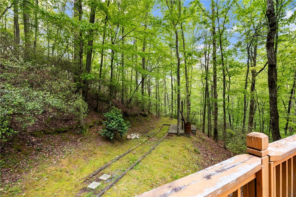 387 River View Trail, Dahlonega, Georgia image 37