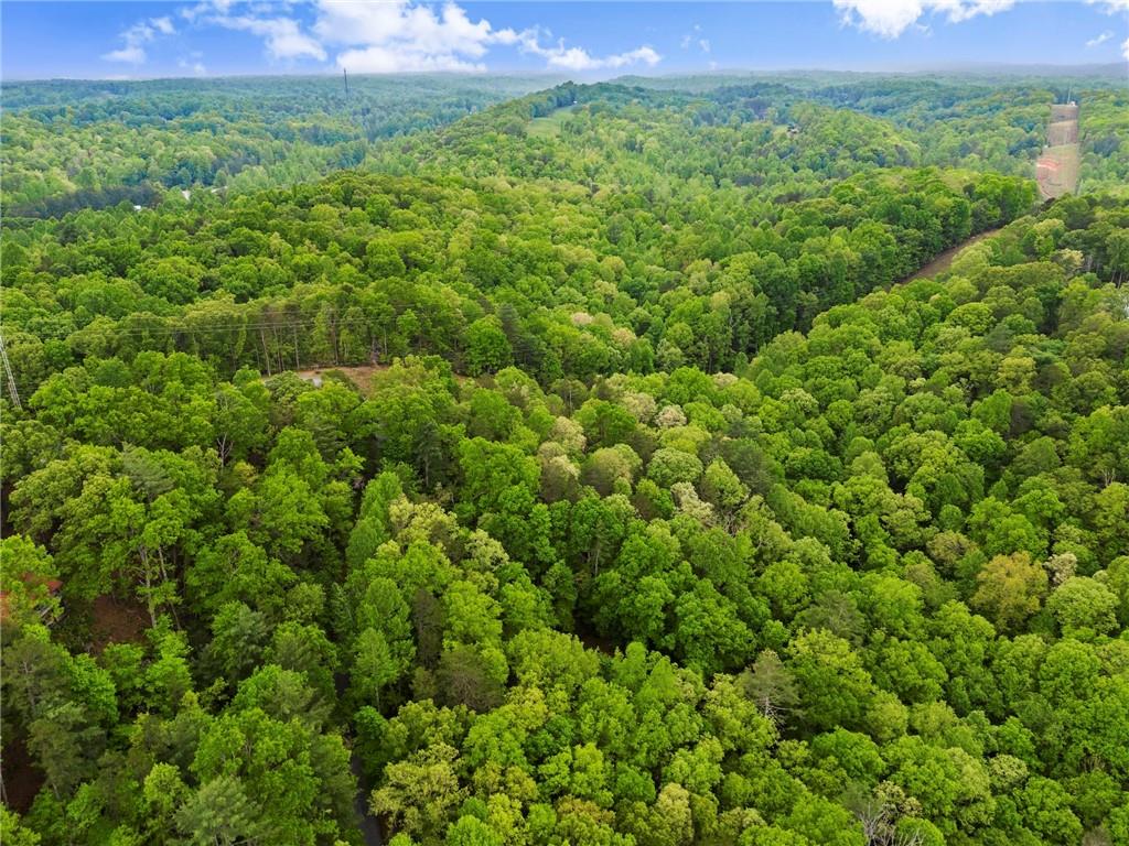 387 River View Trail, Dahlonega, Georgia image 40