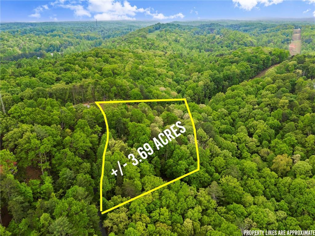 387 River View Trail, Dahlonega, Georgia image 41