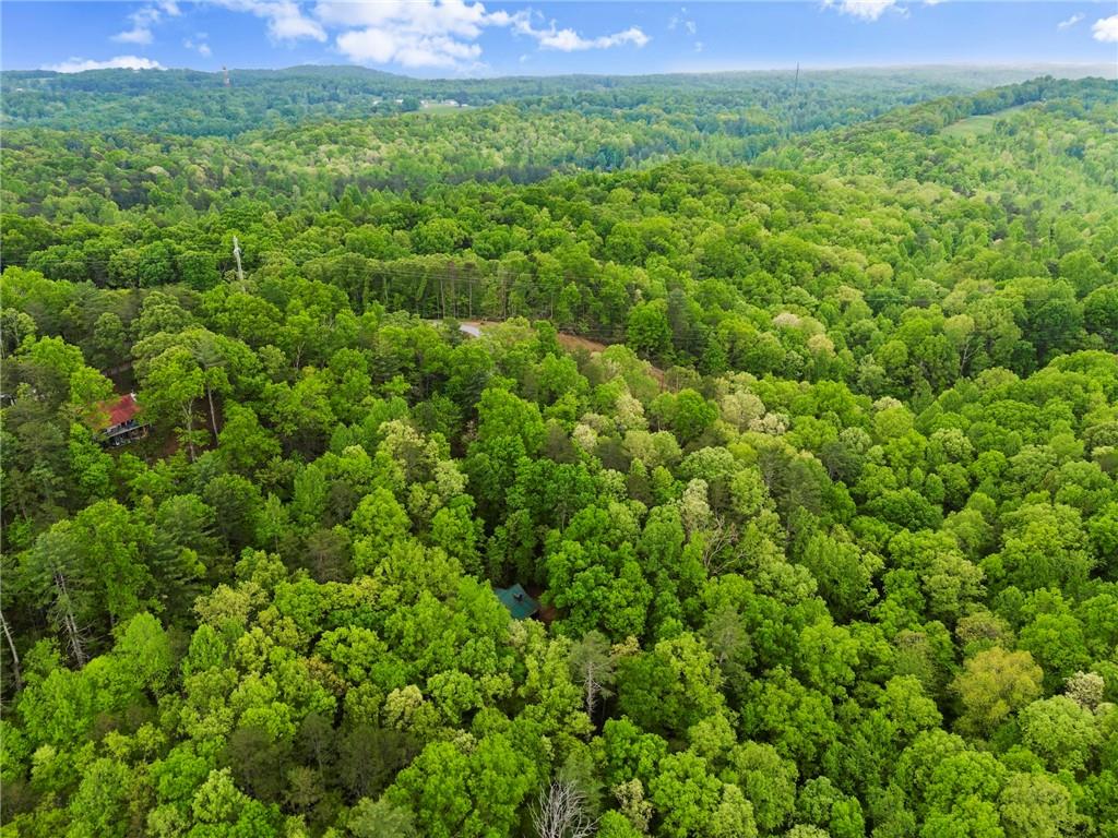 387 River View Trail, Dahlonega, Georgia image 42