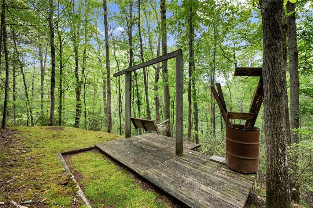 387 River View Trail, Dahlonega, Georgia image 36