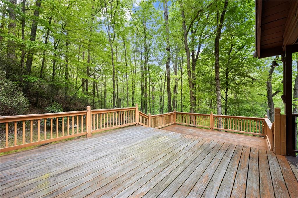 387 River View Trail, Dahlonega, Georgia image 32