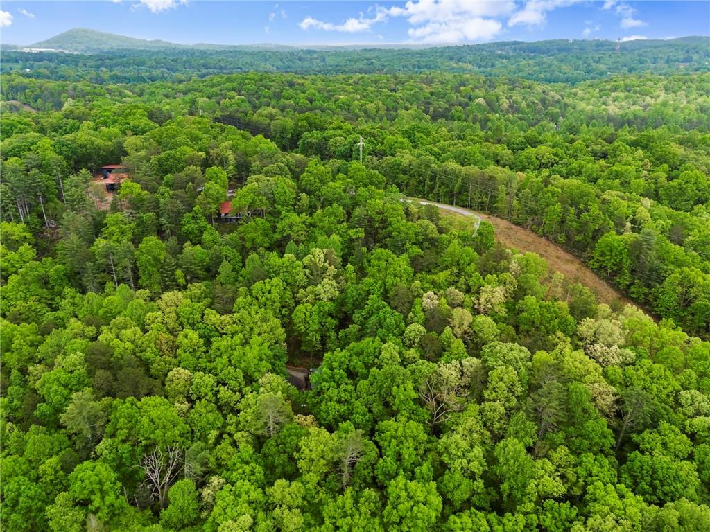 387 River View Trail, Dahlonega, Georgia image 43