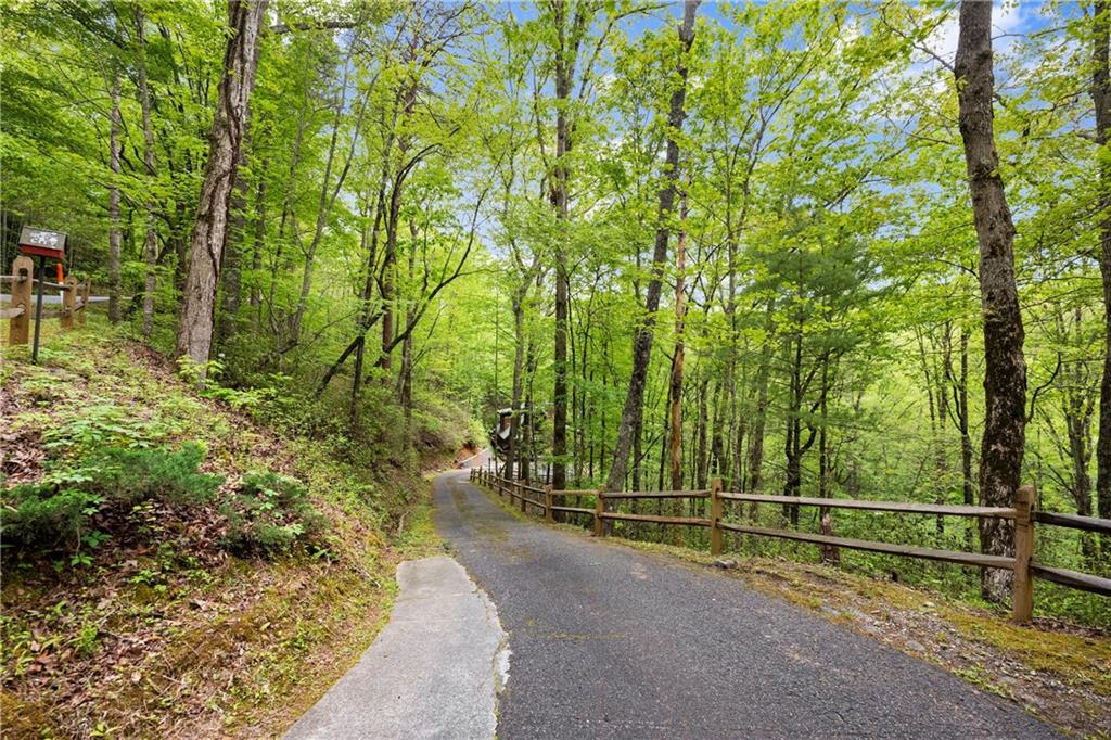387 River View Trail, Dahlonega, Georgia image 3