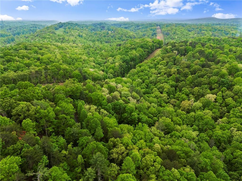 387 River View Trail, Dahlonega, Georgia image 47