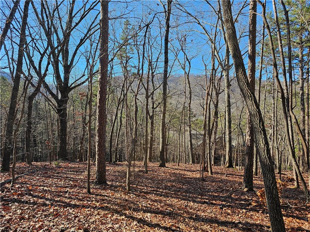 383 Teaberry Lane, Big Canoe, Georgia image 1