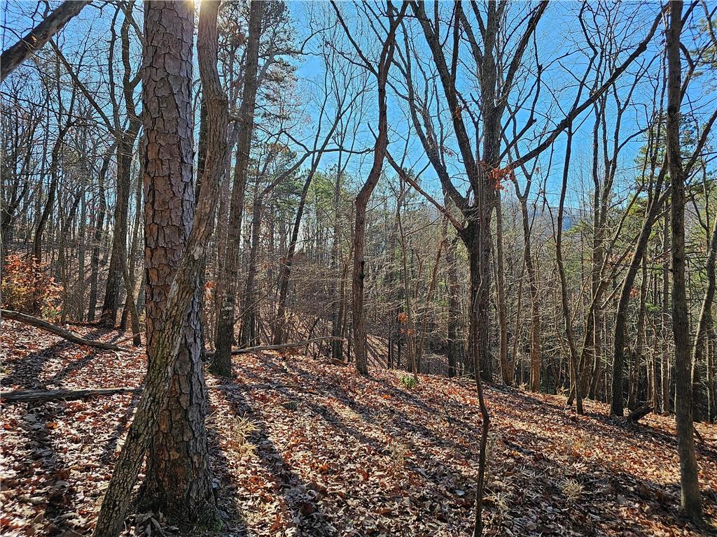 383 Teaberry Lane, Big Canoe, Georgia image 7