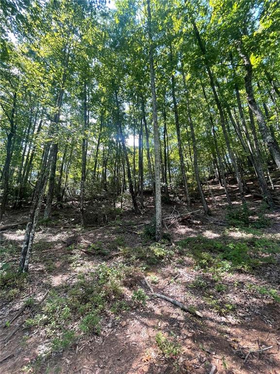 Chimney Mountain Rd, Lot 5 And 6, Sautee Nacoochee, Georgia image 6