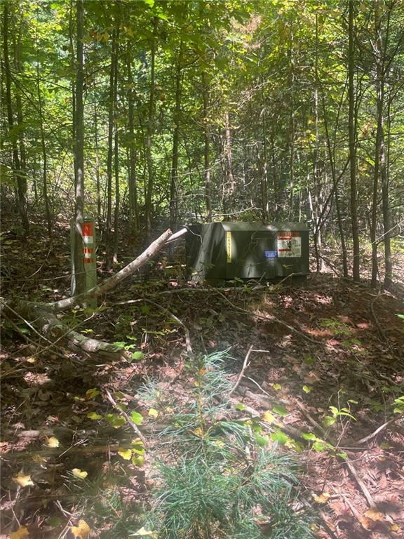 Chimney Mountain Rd, Lot 5 And 6, Sautee Nacoochee, Georgia image 5