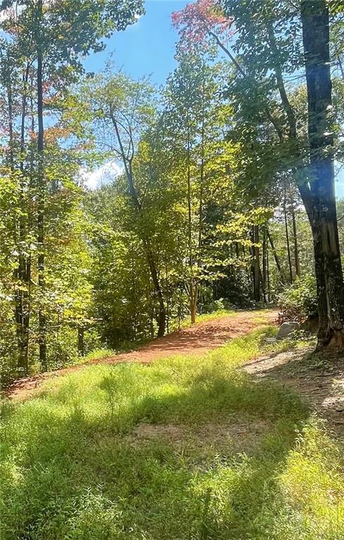 Chimney Mountain Rd, Lot 5 And 6, Sautee Nacoochee, Georgia image 1