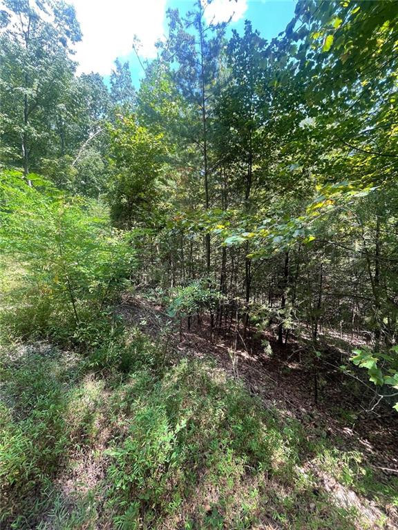 Chimney Mountain Rd, Lot 5 And 6, Sautee Nacoochee, Georgia image 7