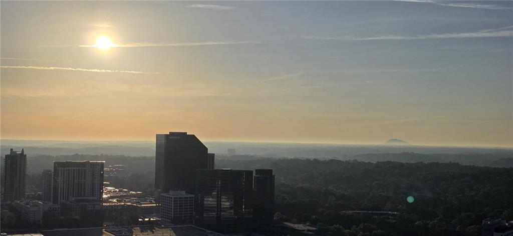 3324 Peachtree Road #3001, Atlanta, Georgia image 48