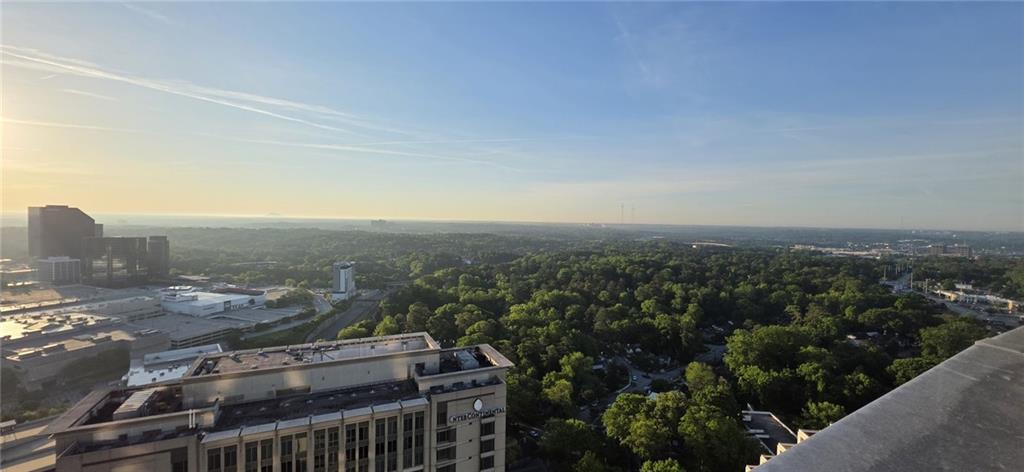 3324 Peachtree Road #3001, Atlanta, Georgia image 47