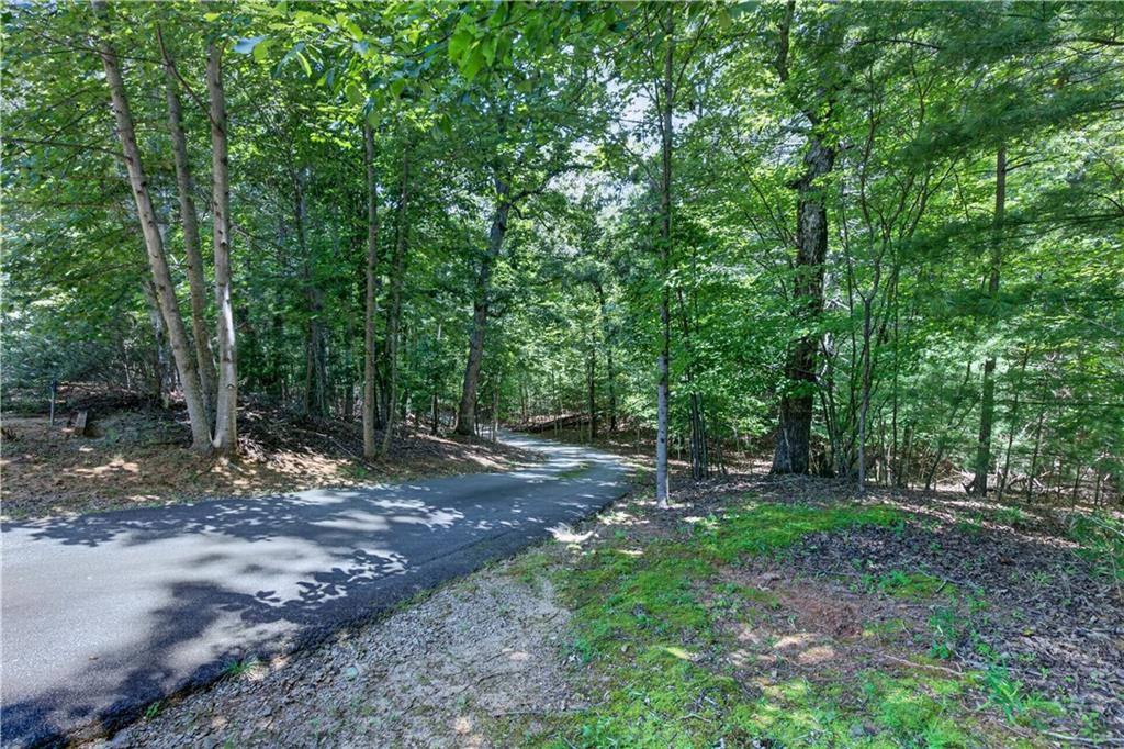 37 Gold Ditch Road