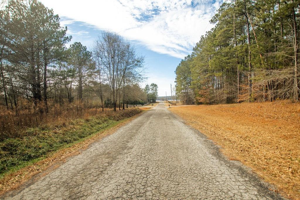 Cedar Grove Road, Fairburn, Georgia image 12