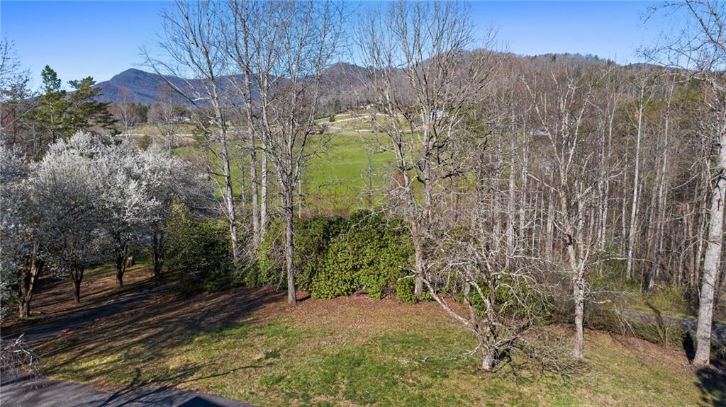 16 Misty Mountain Lane, Blairsville, Georgia image 10