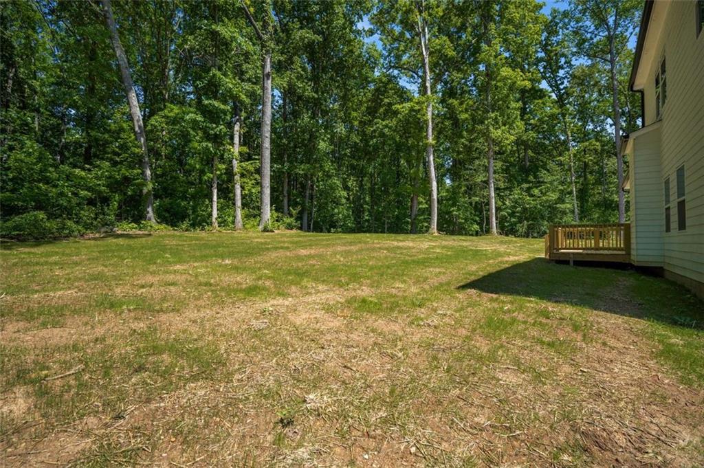 492 Mary Hill Lane, Douglasville, Georgia image 38