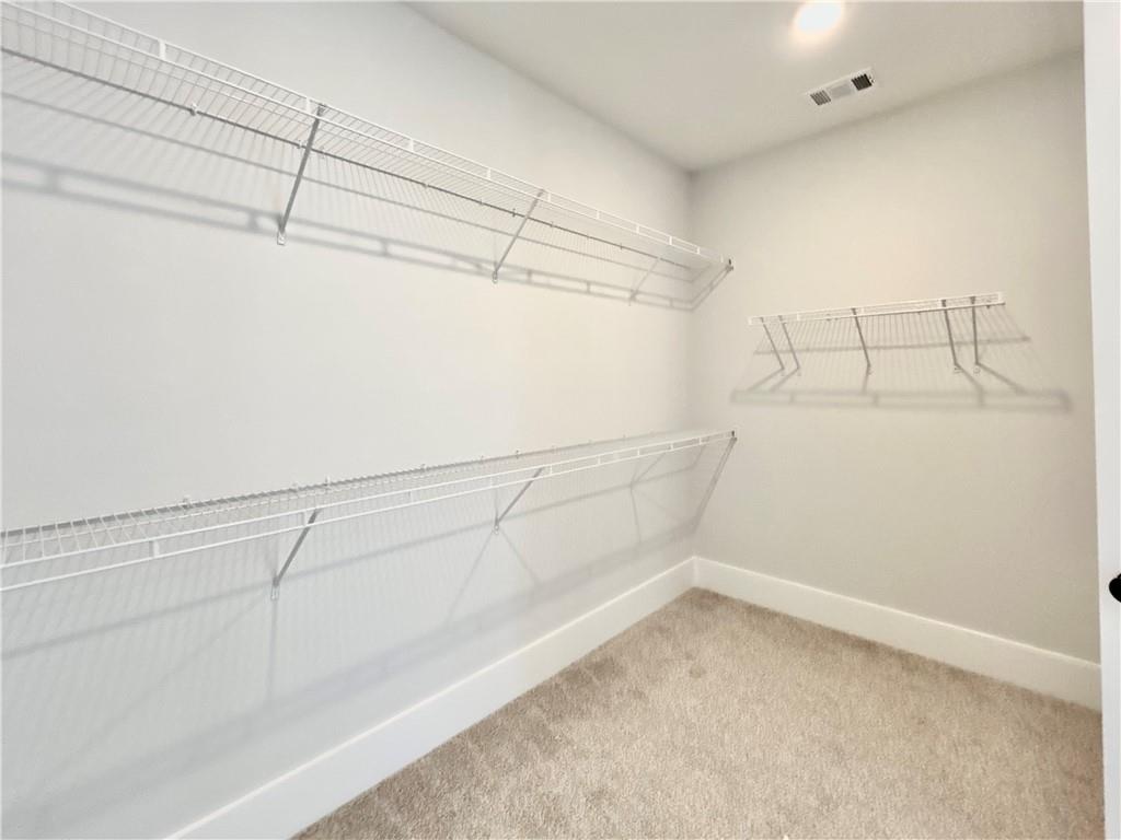 115 Palisade Drive, Rydal, Georgia image 36
