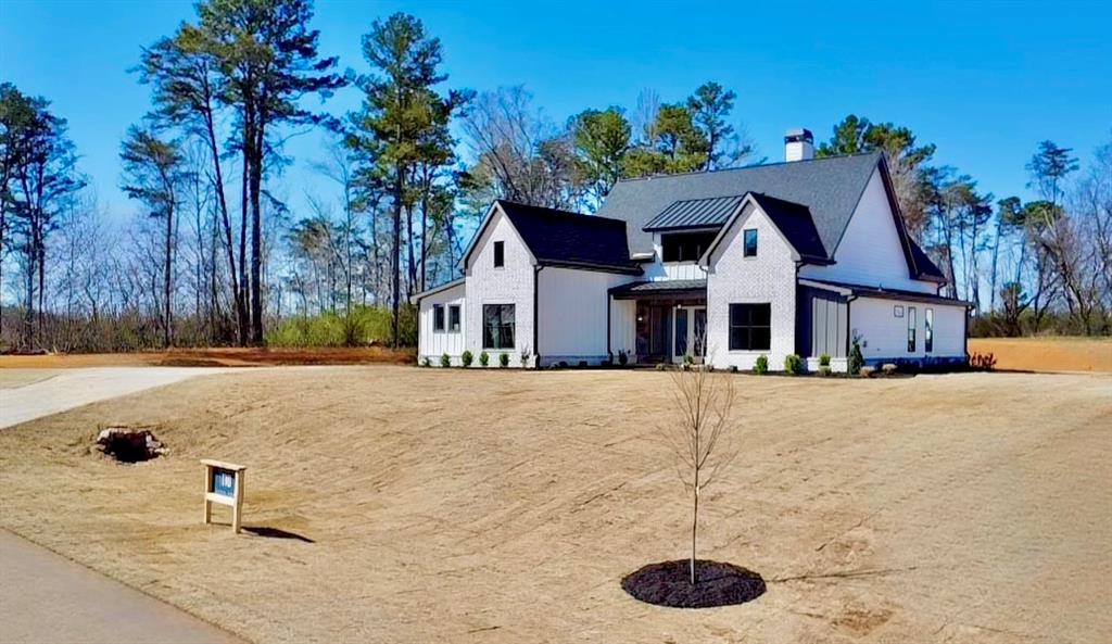 115 Palisade Drive, Rydal, Georgia image 1