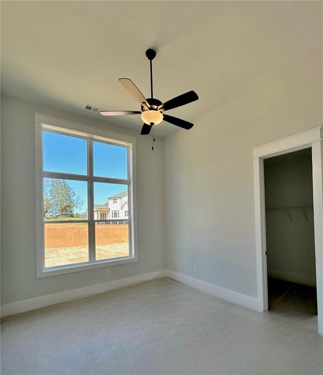 115 Palisade Drive, Rydal, Georgia image 21