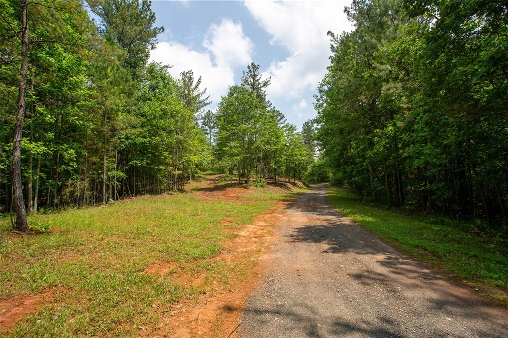 6480A Highway 52, Dahlonega, Georgia image 4