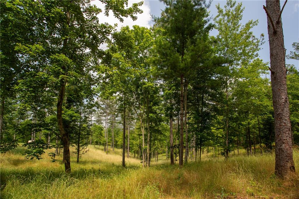 6480A Highway 52, Dahlonega, Georgia image 3