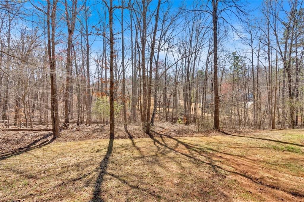 9645 Dunhill Way, Cumming, Georgia image 34