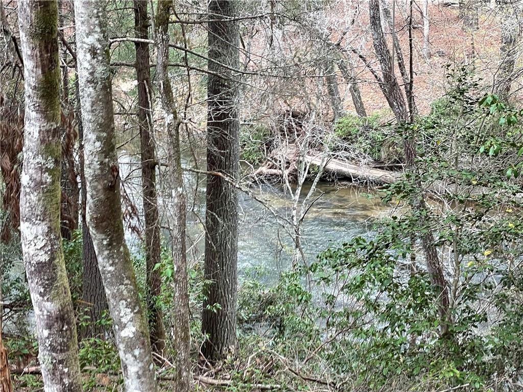 - River Forest Run