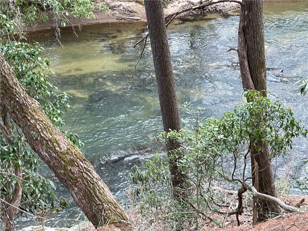 - River Forest Run