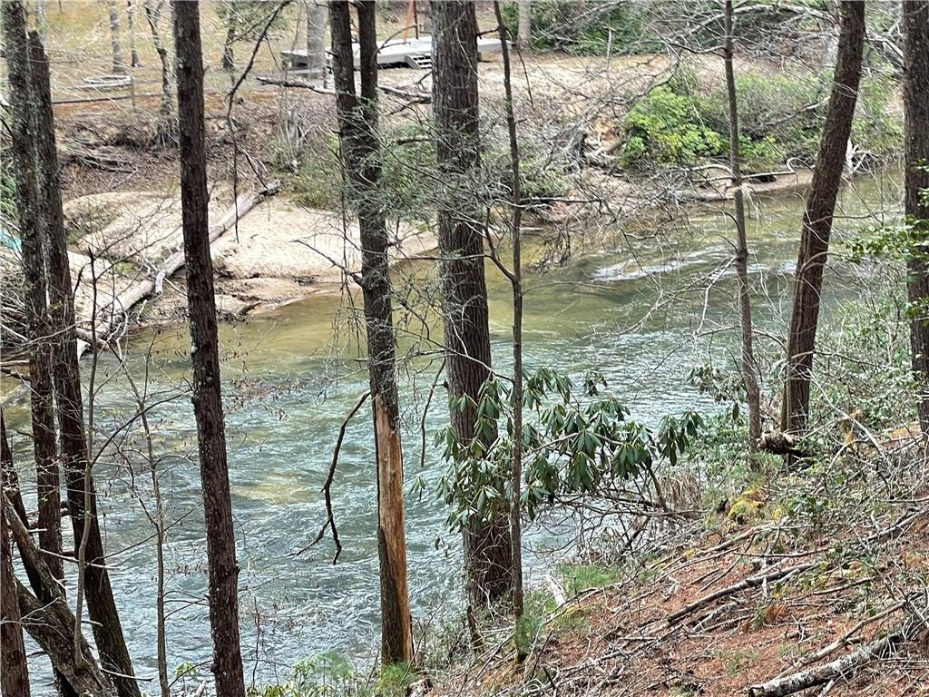 - River Forest Run