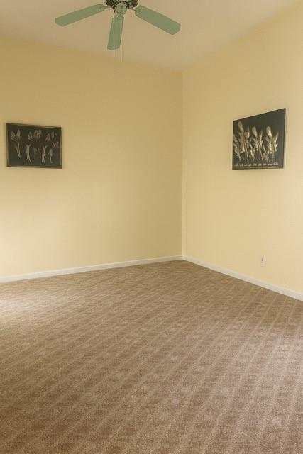 7157 Williamsburg Drive