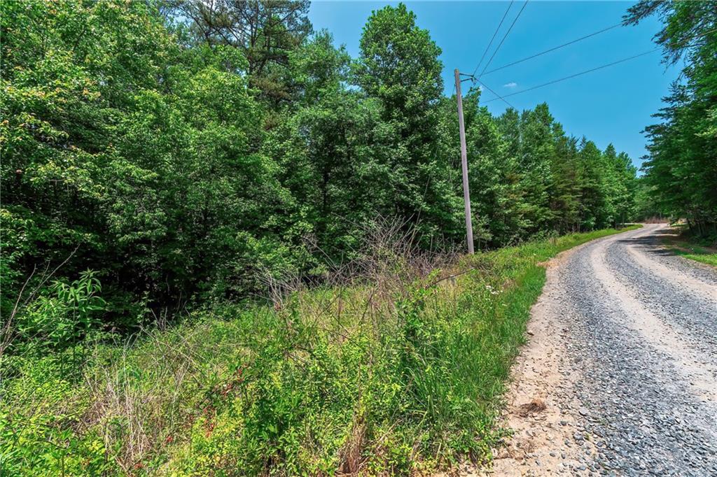 3.35AC Pine Lane, Mineral Bluff, Georgia image 15